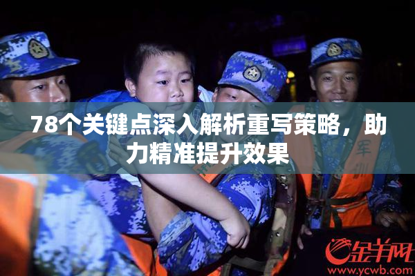 78个关键点深入解析重写策略，助力精准提升效果