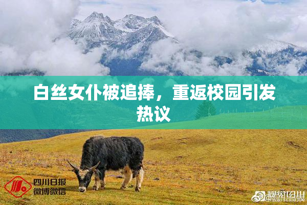 白丝女仆被追捧，重返校园引发热议