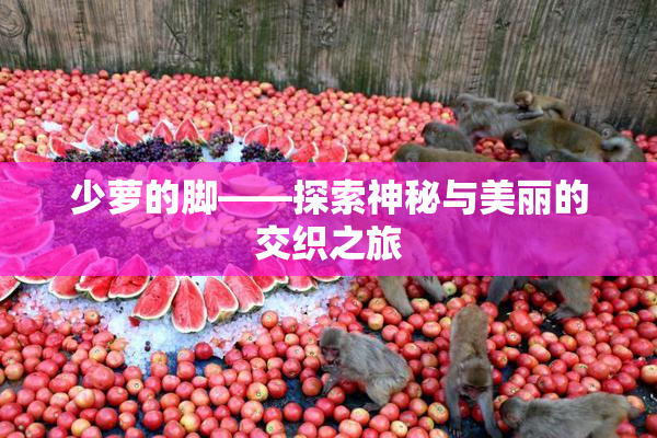 少萝的脚——探索神秘与美丽的交织之旅