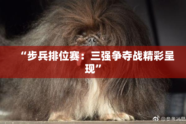 “步兵排位赛：三强争夺战精彩呈现”