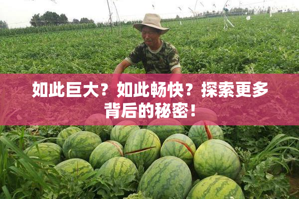 如此巨大？如此畅快？探索更多背后的秘密！
