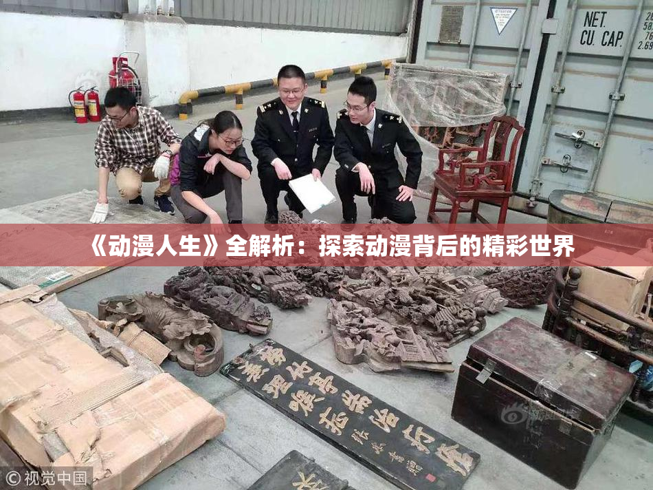 《动漫人生》全解析：探索动漫背后的精彩世界