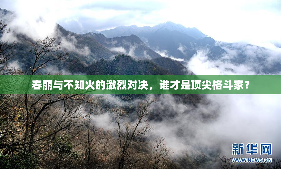 春丽与不知火的激烈对决，谁才是顶尖格斗家？