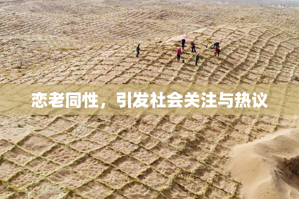 恋老同性，引发社会关注与热议