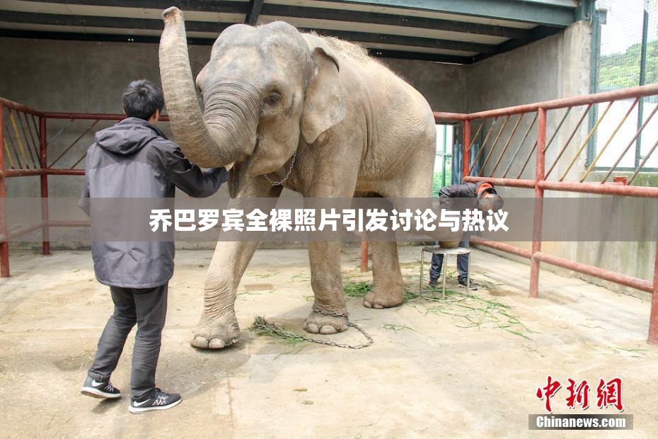 乔巴罗宾全裸照片引发讨论与热议