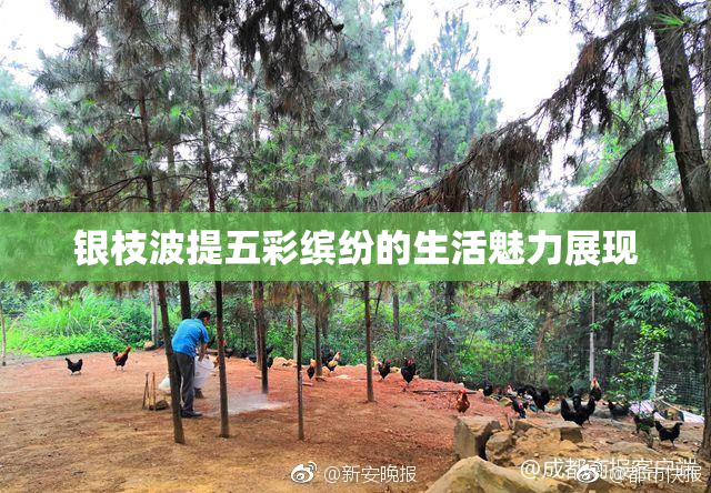 银枝波提五彩缤纷的生活魅力展现