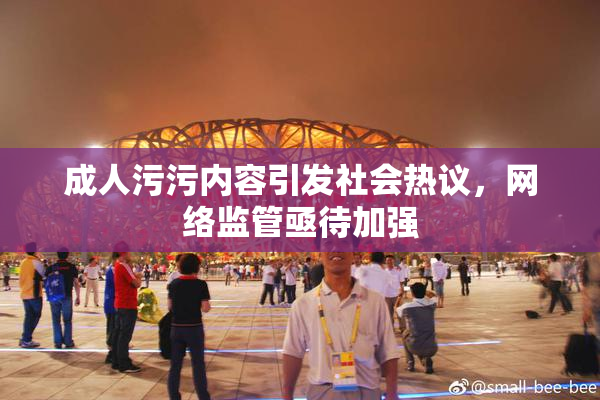 成人污污内容引发社会热议，网络监管亟待加强
