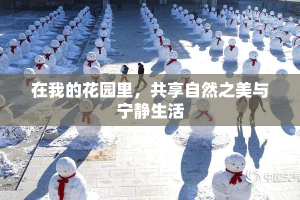 在我的花园里，共享自然之美与宁静生活
