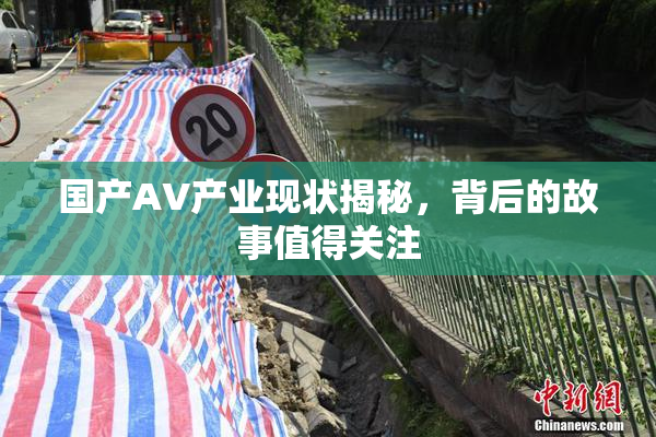 国产AV产业现状揭秘，背后的故事值得关注