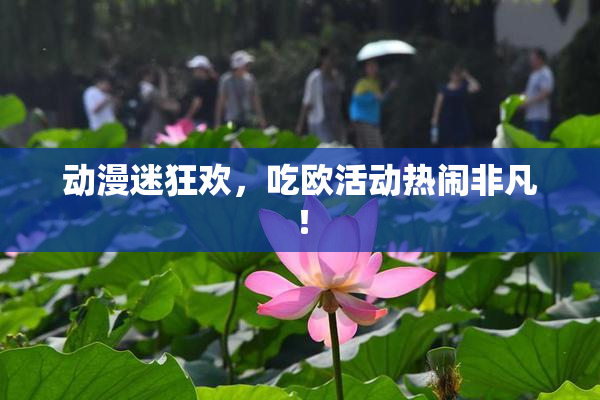 动漫迷狂欢，吃欧活动热闹非凡！