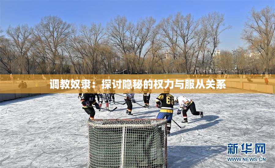 调教奴隶：探讨隐秘的权力与服从关系