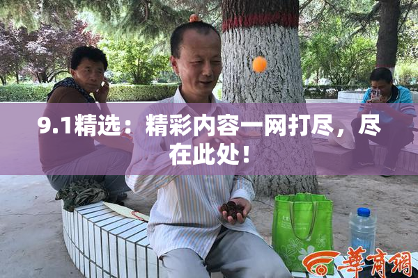 9.1精选：精彩内容一网打尽，尽在此处！