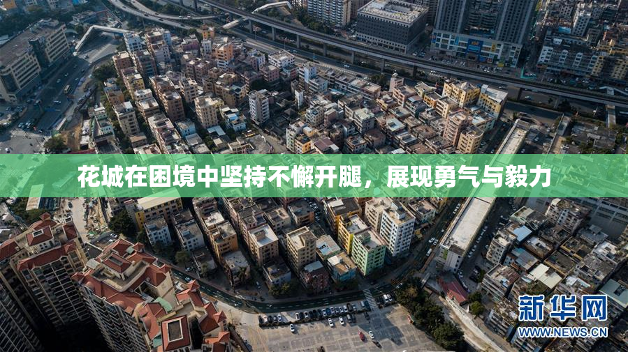 花城在困境中坚持不懈开腿，展现勇气与毅力