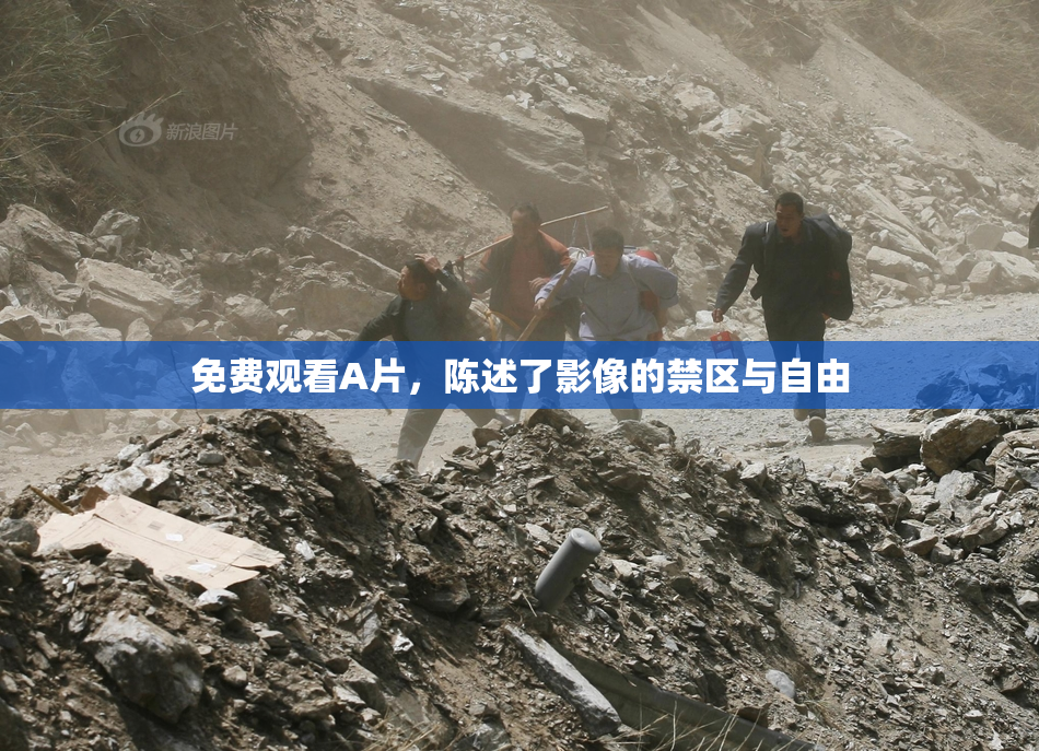 免费观看A片，陈述了影像的禁区与自由