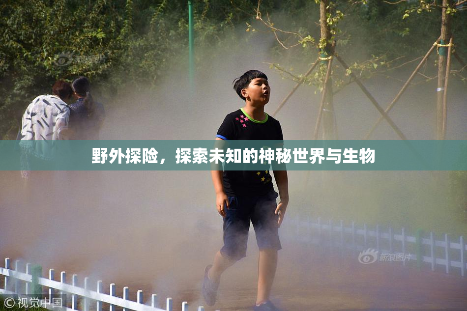 野外探险，探索未知的神秘世界与生物