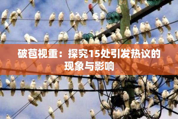 破苞视重：探究15处引发热议的现象与影响