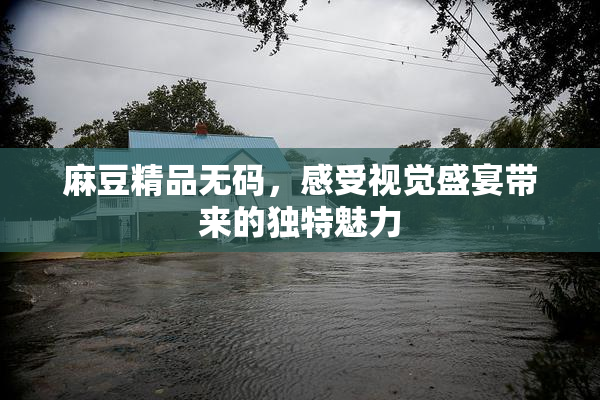 麻豆精品无码，感受视觉盛宴带来的独特魅力