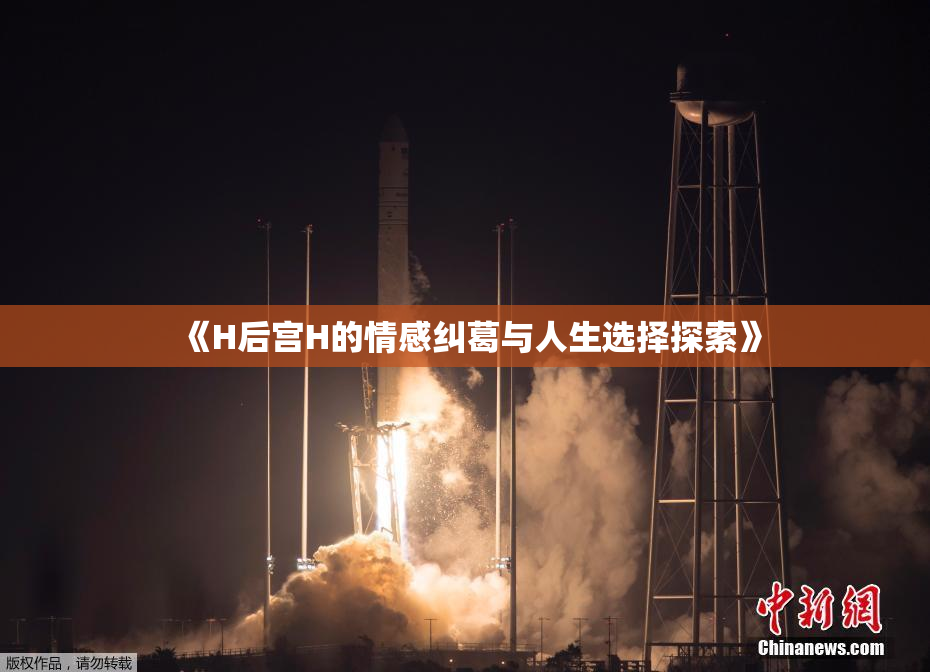《H后宫H的情感纠葛与人生选择探索》
