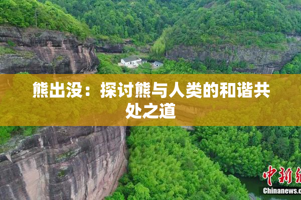 熊出没：探讨熊与人类的和谐共处之道