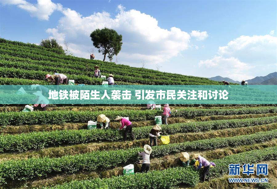 地铁被陌生人袭击 引发市民关注和讨论