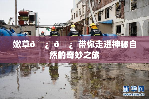 嫩草🌿‌🌿‌带你走进神秘自然的奇妙之旅