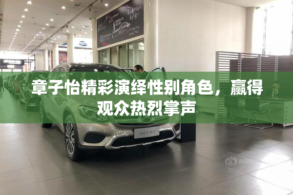 章子怡精彩演绎性别角色，赢得观众热烈掌声