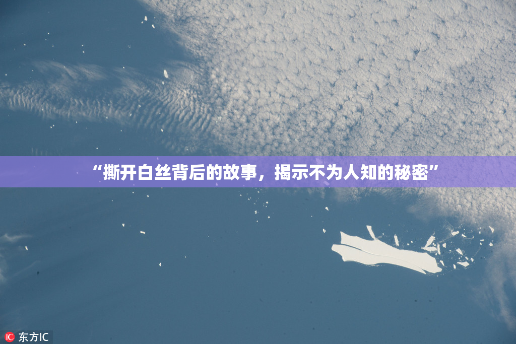 “撕开白丝背后的故事，揭示不为人知的秘密”