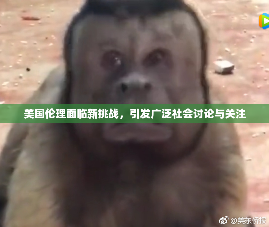 美国伦理面临新挑战，引发广泛社会讨论与关注