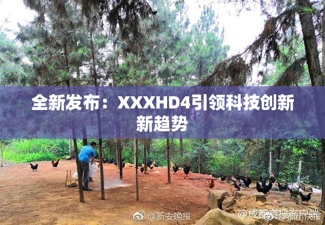 全新发布：XXXHD4引领科技创新新趋势