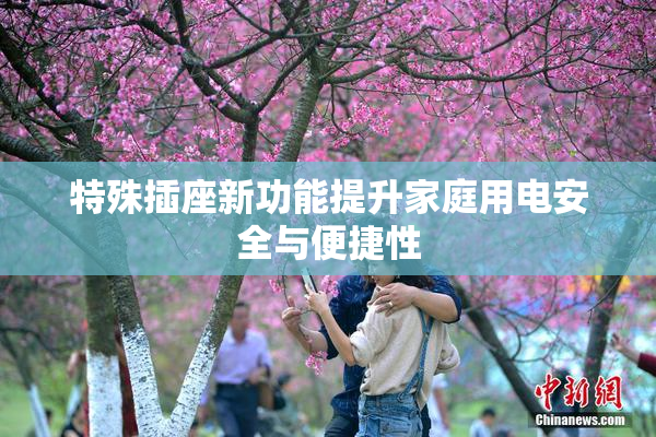 特殊插座新功能提升家庭用电安全与便捷性