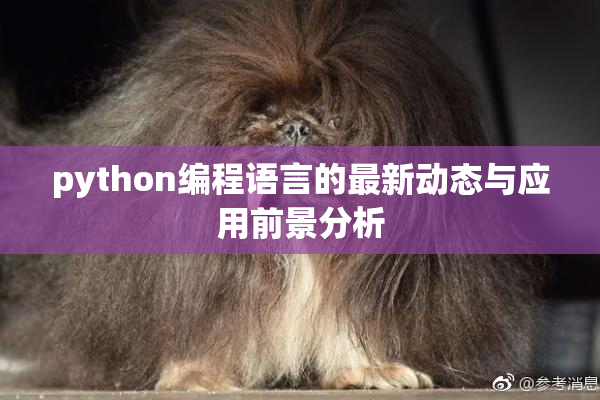 python编程语言的最新动态与应用前景分析