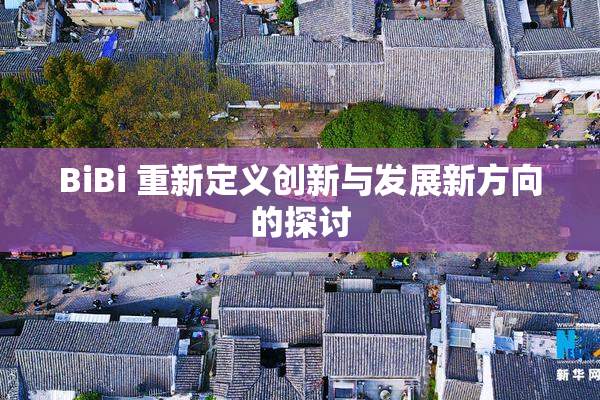 BiBi 重新定义创新与发展新方向的探讨