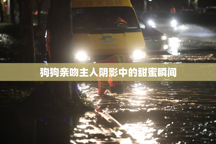 狗狗亲吻主人阴影中的甜蜜瞬间