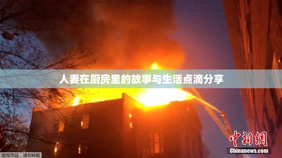 人妻在厨房里的故事与生活点滴分享
