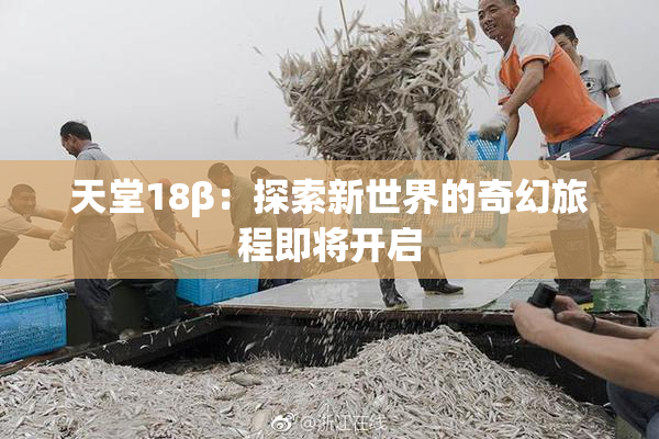 天堂18β：探索新世界的奇幻旅程即将开启