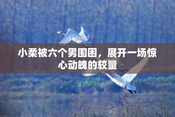 小柔被六个男围困，展开一场惊心动魄的较量