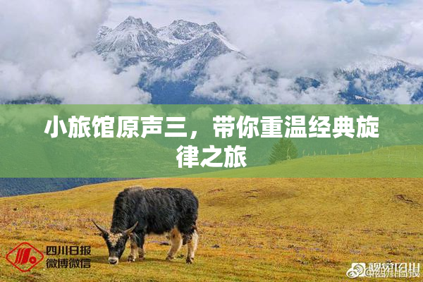 小旅馆原声三，带你重温经典旋律之旅