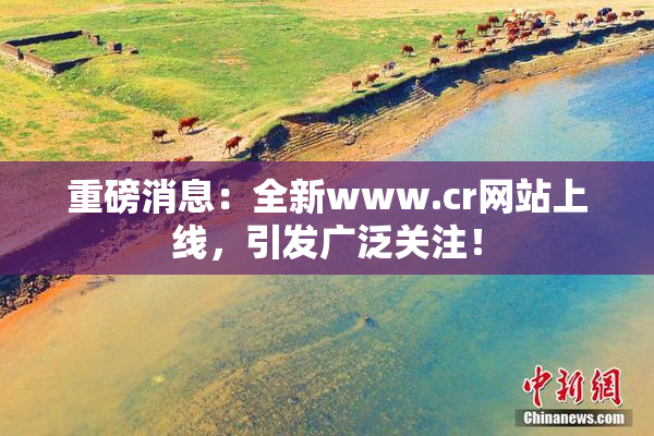 重磅消息：全新www.cr网站上线，引发广泛关注！