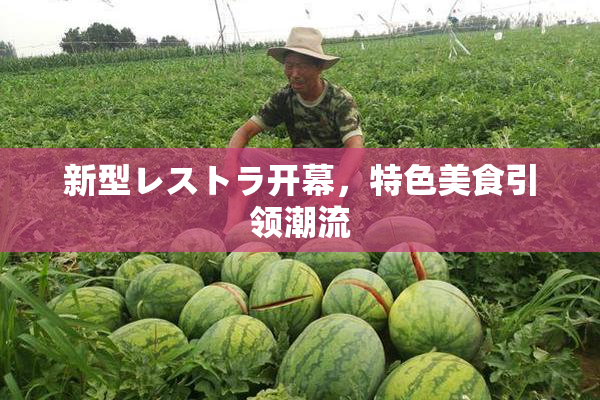 新型レストラ开幕，特色美食引领潮流