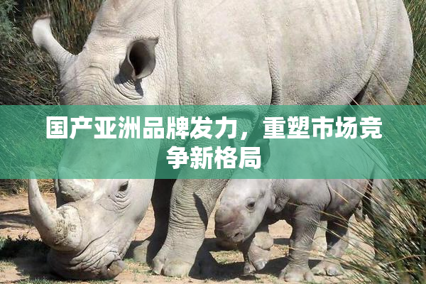 国产亚洲品牌发力，重塑市场竞争新格局