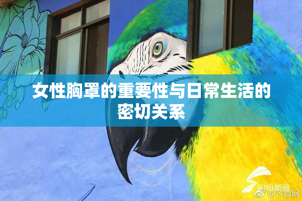 女性胸罩的重要性与日常生活的密切关系