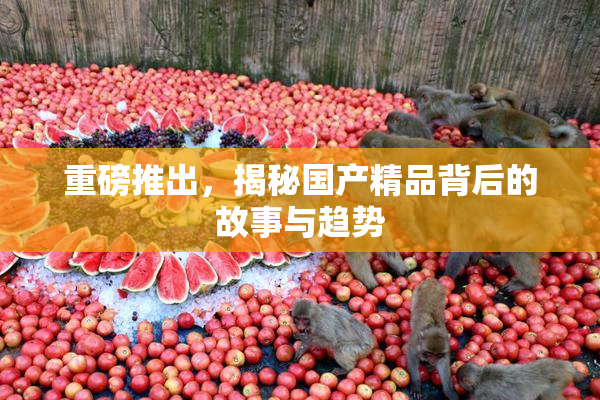 重磅推出，揭秘国产精品背后的故事与趋势