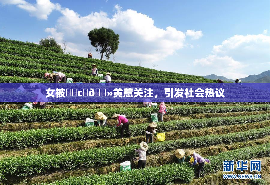 女被❌‌c‌🐻黄惹关注，引发社会热议