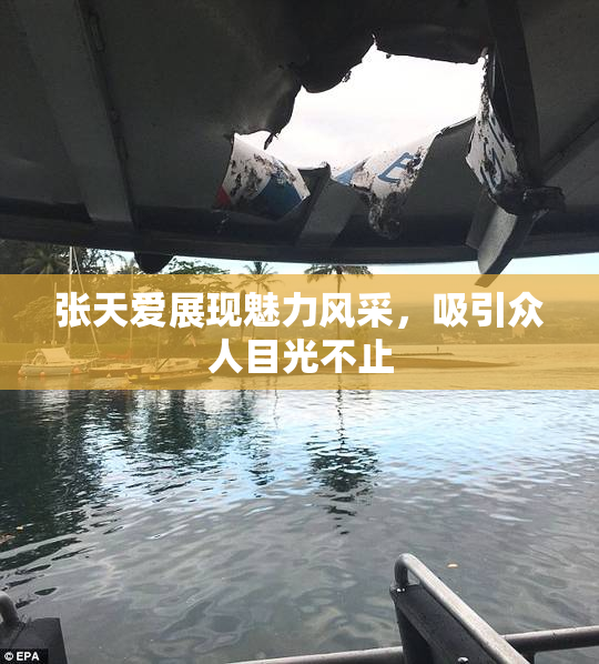 张天爱展现魅力风采，吸引众人目光不止