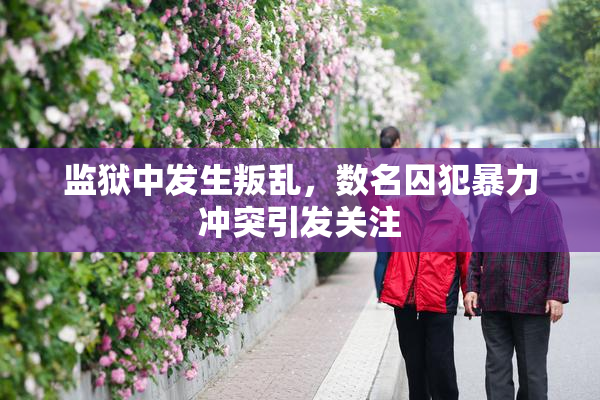 监狱中发生叛乱，数名囚犯暴力冲突引发关注