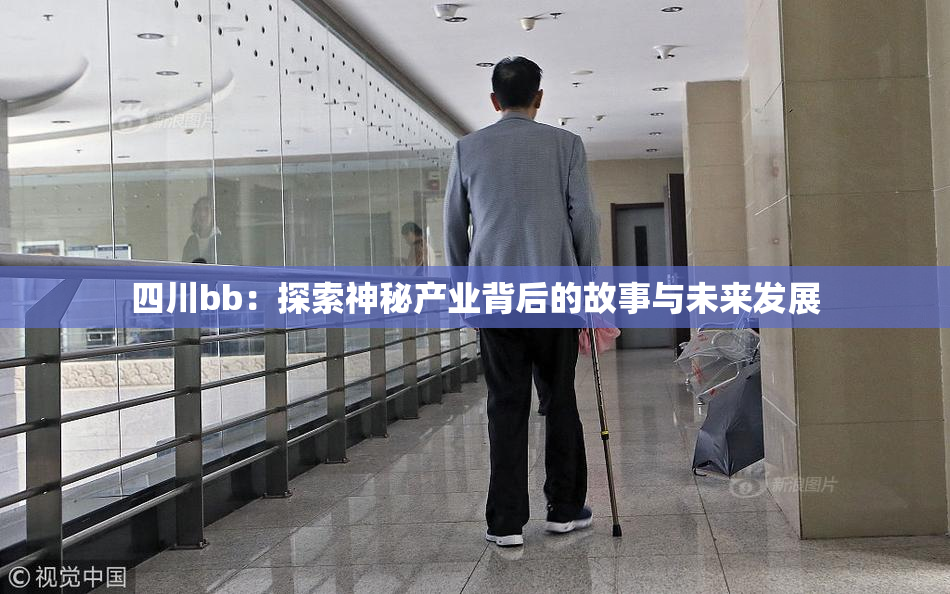 四川bb：探索神秘产业背后的故事与未来发展