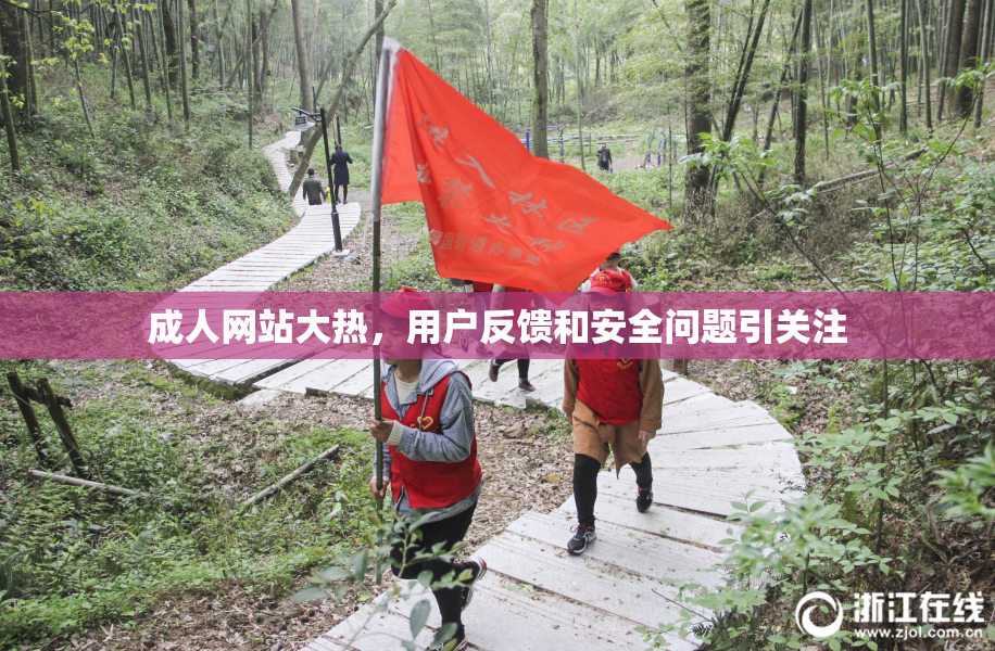 成人网站大热，用户反馈和安全问题引关注