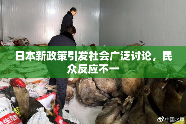 日本新政策引发社会广泛讨论，民众反应不一
