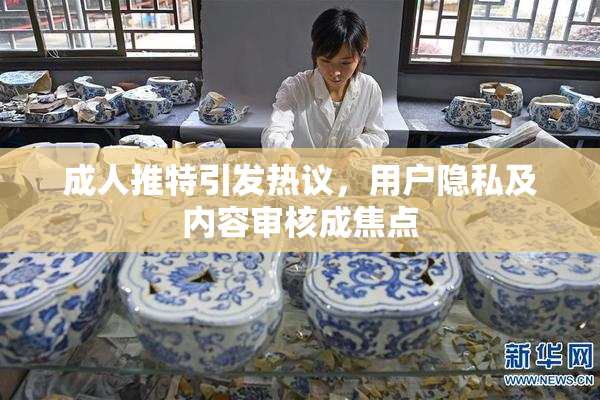 成人推特引发热议，用户隐私及内容审核成焦点