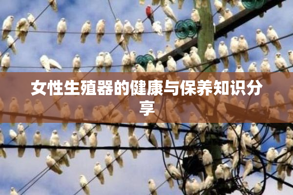 女性生殖器的健康与保养知识分享